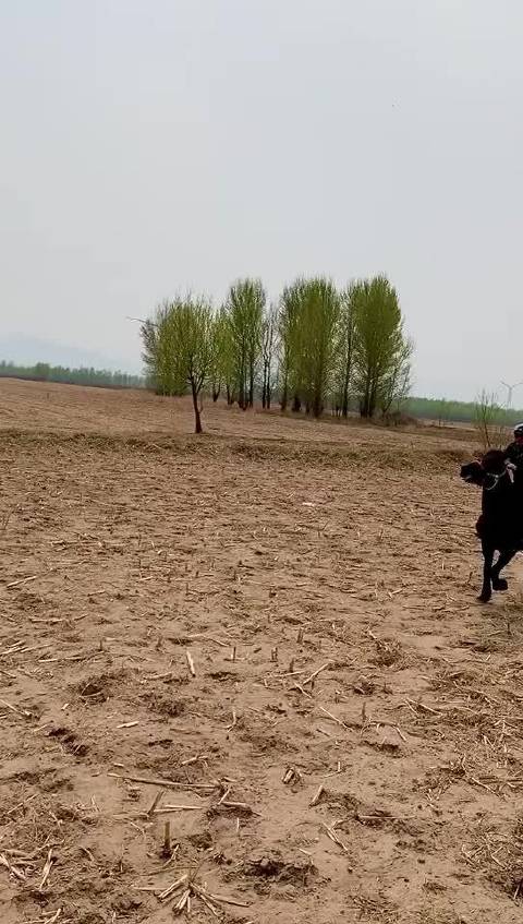 水滴找不到客户端水滴保深耕用户服务-第2张图片-太平洋在线下载