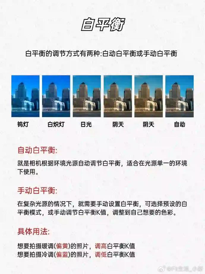 肖像相机软件苹果版mt管理器下载苹果版-第2张图片-太平洋在线下载